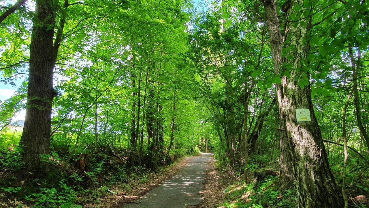 Nasz Debowiec - Dom Dla 15 Osob, Sauna, Widok Na Staw, Wielka Dzialka Exterior foto
