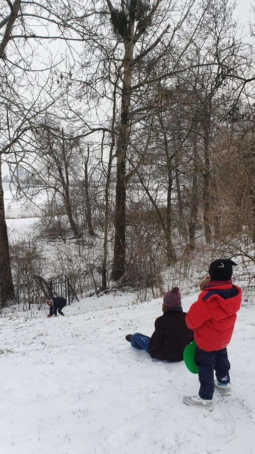 Nasz Debowiec - Dom Dla 15 Osob, Sauna, Widok Na Staw, Wielka Dzialka Exterior foto